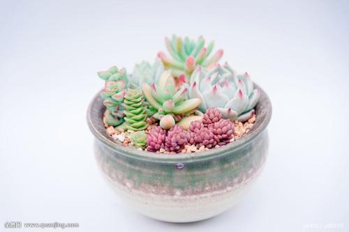 70¹ڷȷﲡ ۼƱ8610